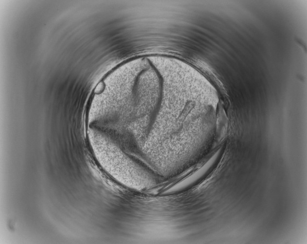 X0000101170892200807251130