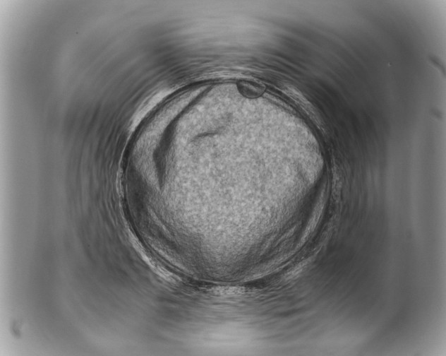 X0000101170893200807251130