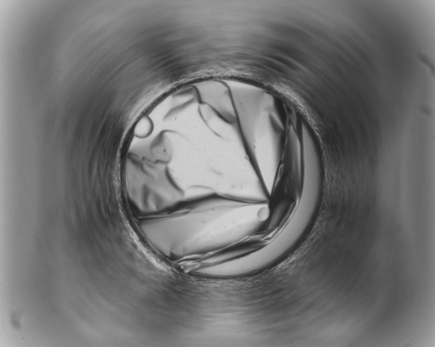 X0000101170894200807251130