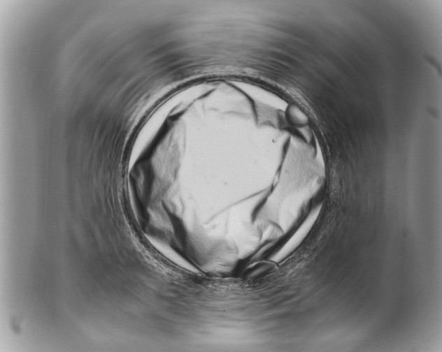 X0000101170895200807251130
