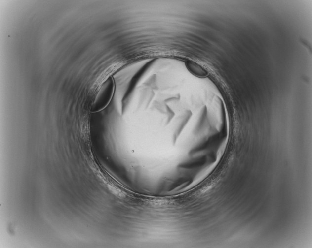 X0000101170897200807251130