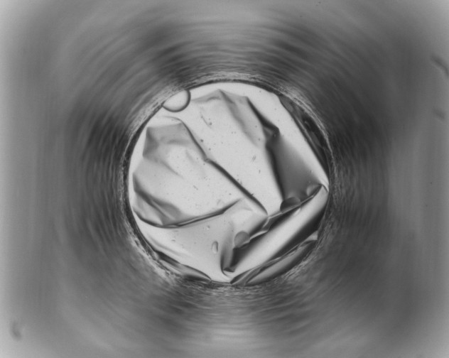 X0000101170898200807251130