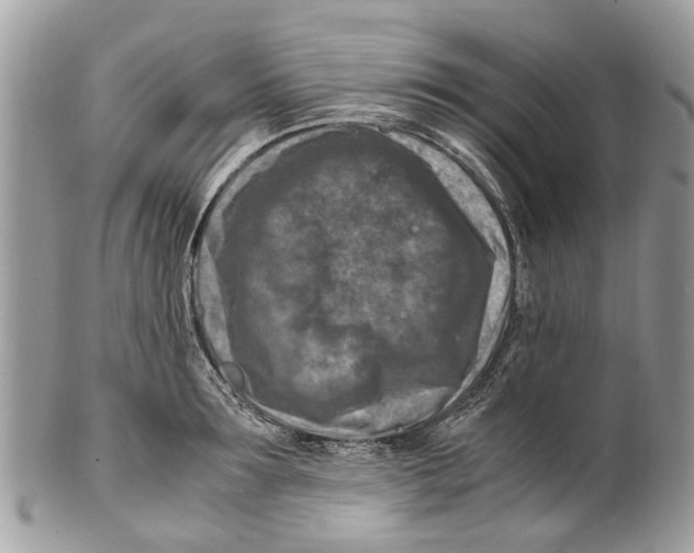 X0000101170899200807251130