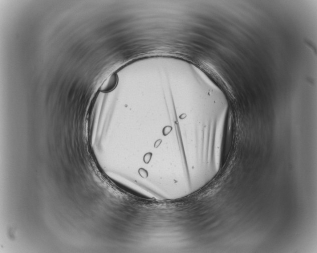 X0000101170900200807251130
