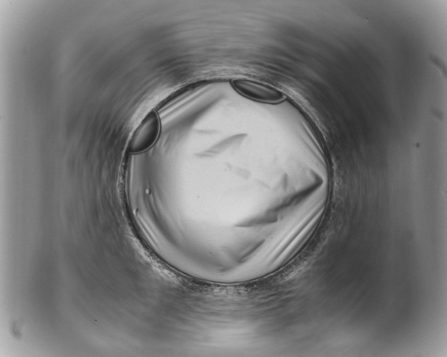 X0000101170901200807251130