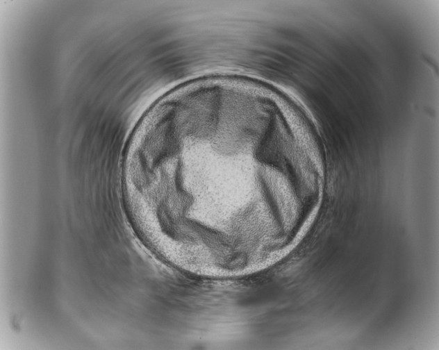 X0000101170903200807251130