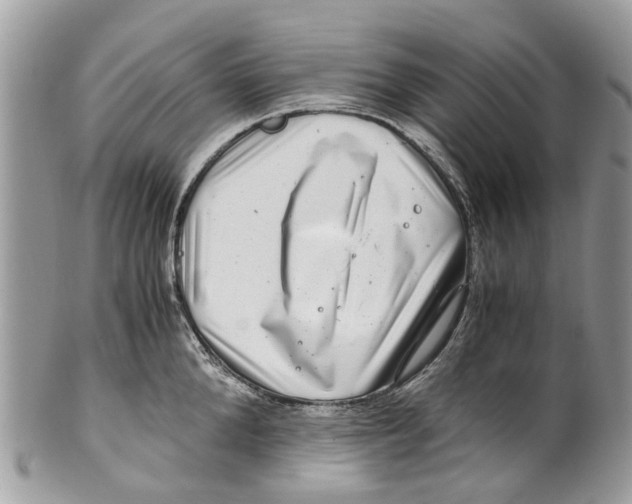 X0000101170904200807251130