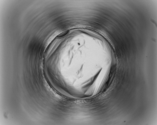 X0000101170906200807251130