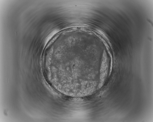 X0000101170907200807251130