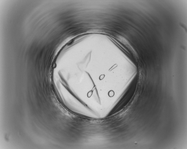 X0000101170908200807251130