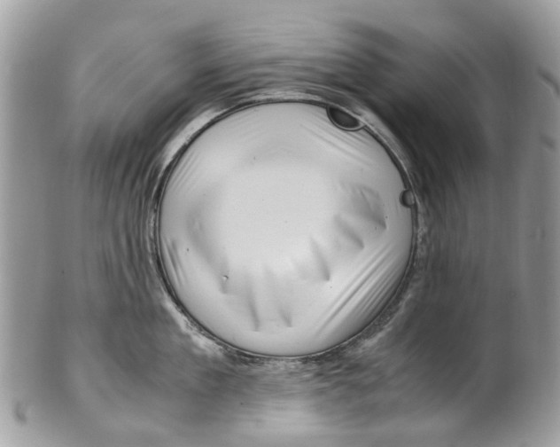 X0000101170909200807251130