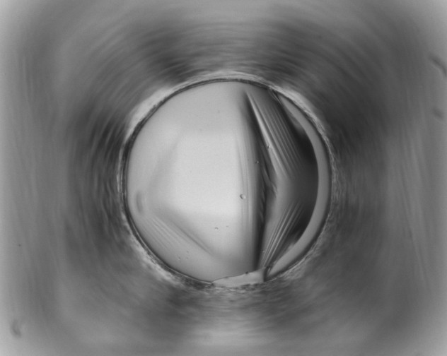 X0000101170910200807251130