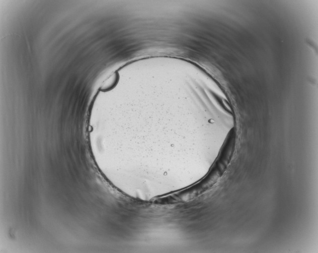 X0000101170912200807251130