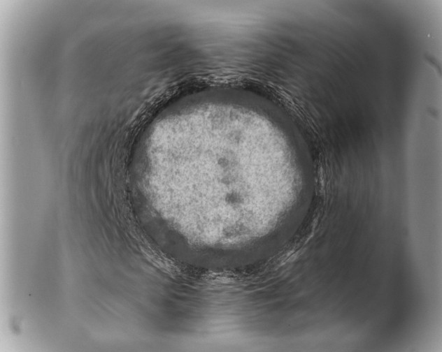 X0000101170913200807251129