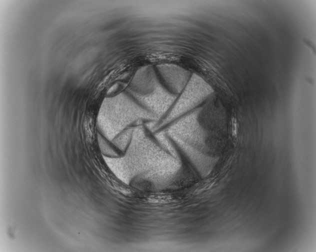 X0000101170915200807251129