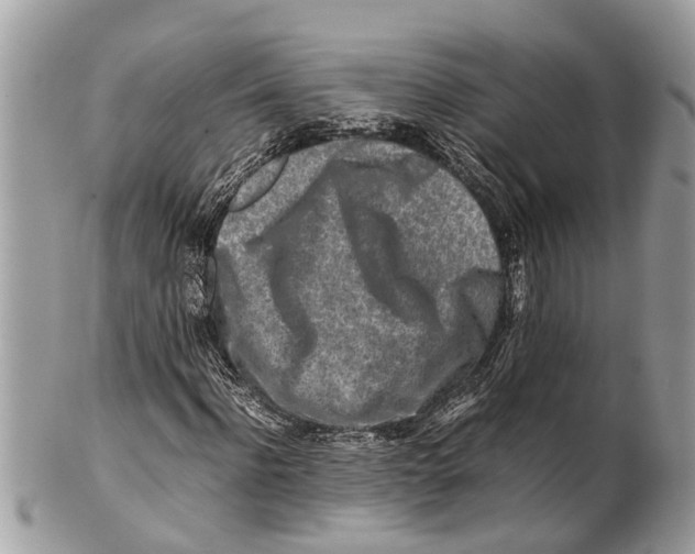 X0000101170916200807251129