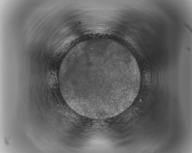 X0000101170918200807251129