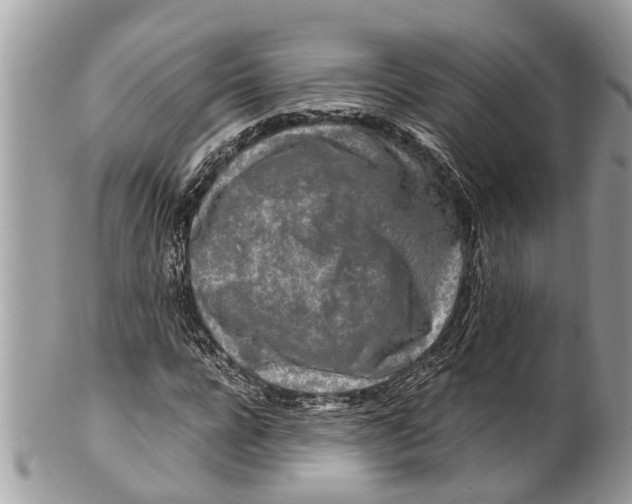 X0000101170920200807251129