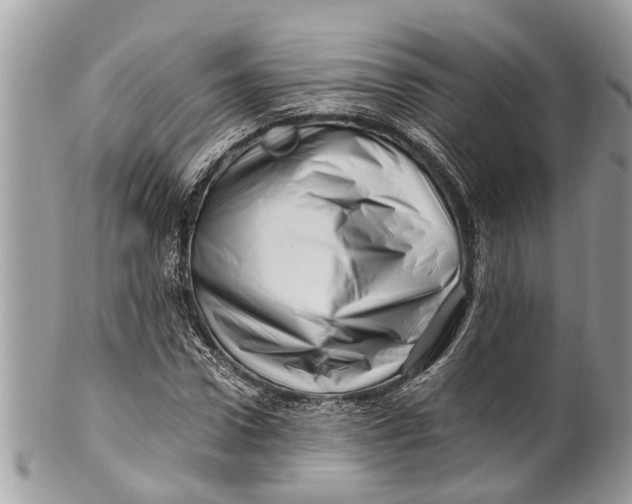 X0000101170922200807251129