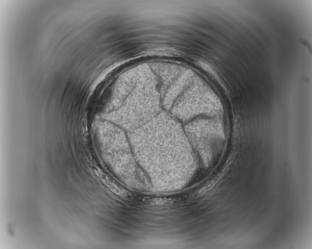 X0000101170923200807251129