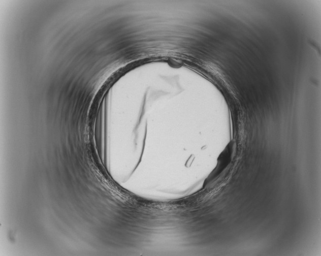X0000101170924200807251129