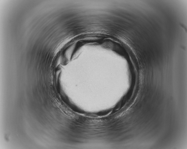 X0000101170925200807251129