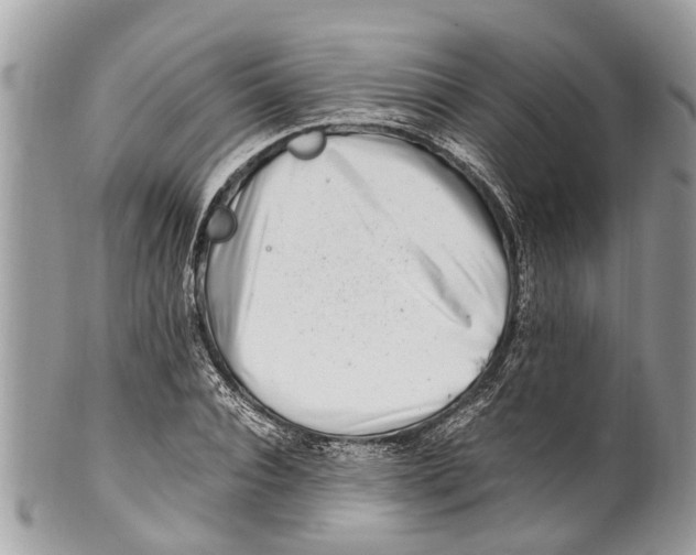 X0000101170928200807251129