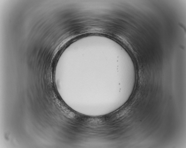 X0000101170931200807251129