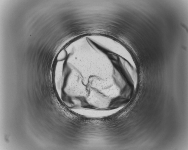 X0000101170932200807251129
