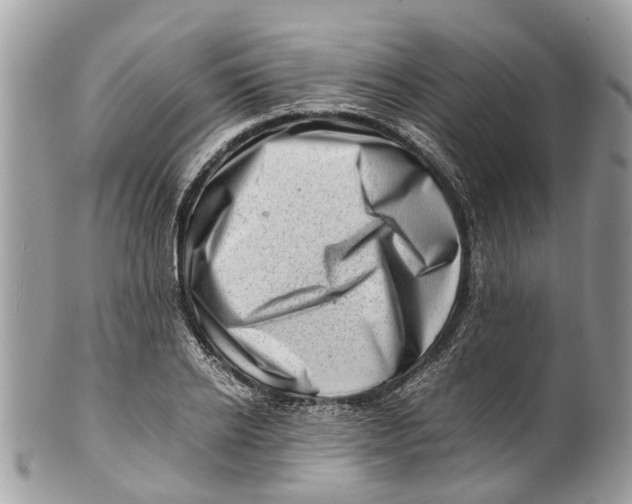 X0000101170934200807251129