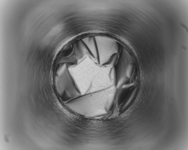 X0000101170935200807251129