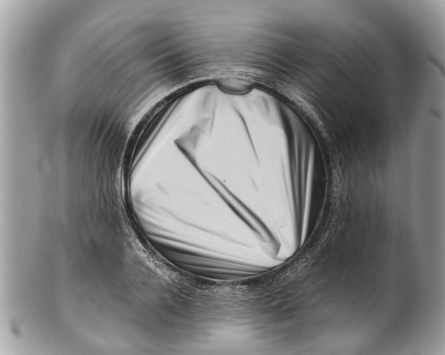 X0000101170936200807251129