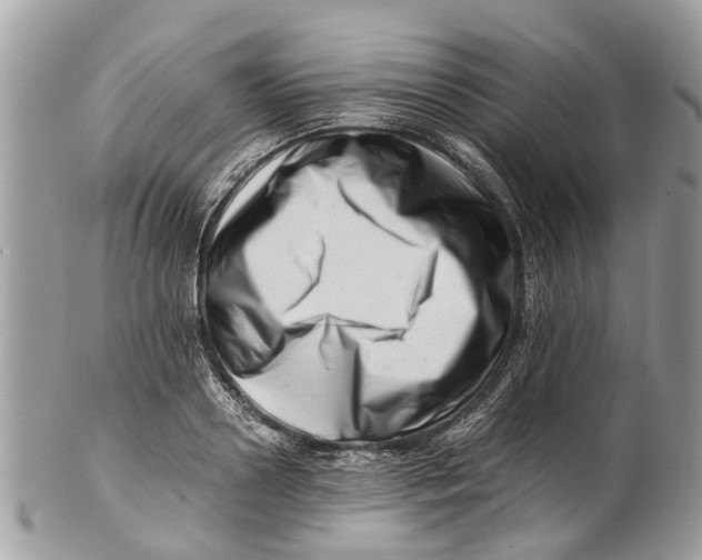 X0000101170938200807251129