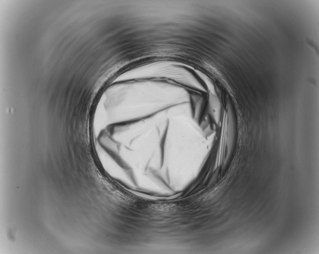 X0000101170939200807251129