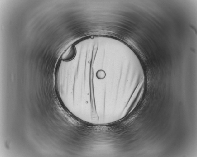 X0000101170940200807251129