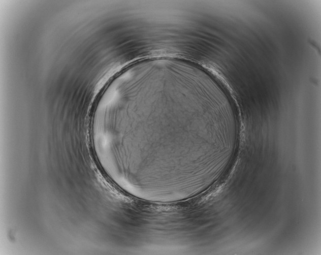 X0000101170941200807251129