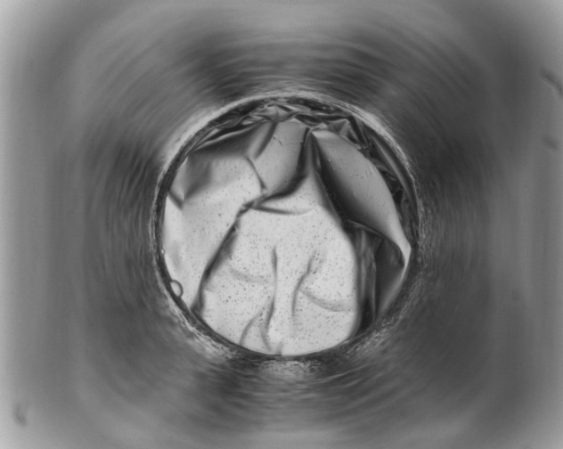 X0000101170943200807251129