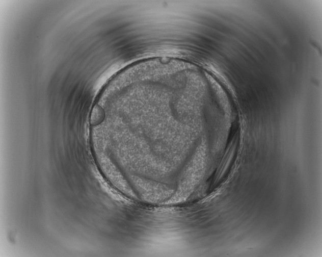 X0000101170944200807251129