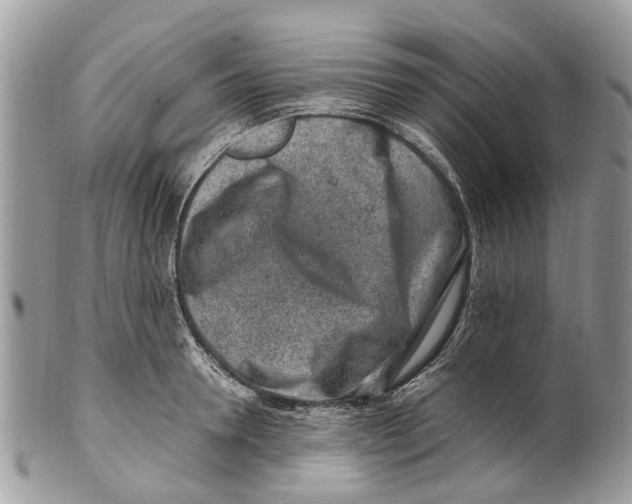 X0000101170946200807251129