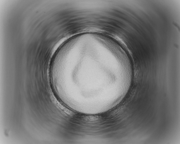 X0000101170947200807251129