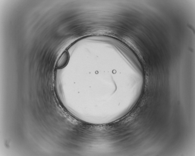 X0000101170948200807251129