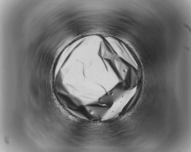 X0000101170949200807251129