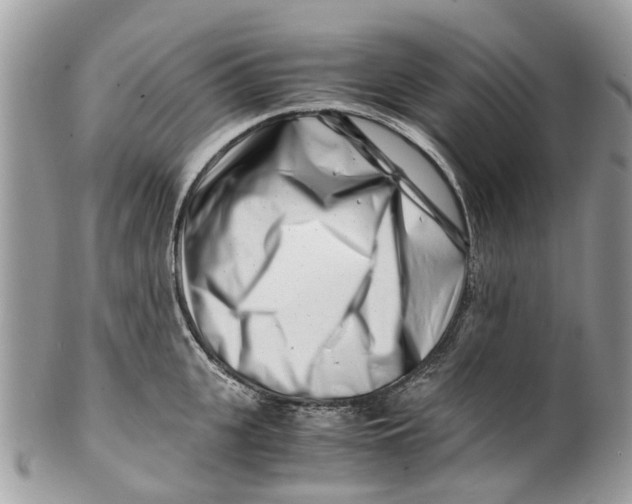 X0000101170951200807251129