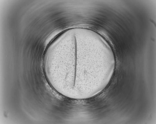 X0000101170952200807251129