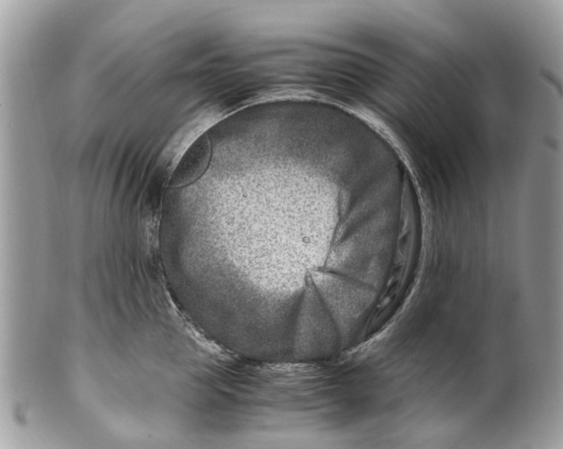 X0000101170953200807251129