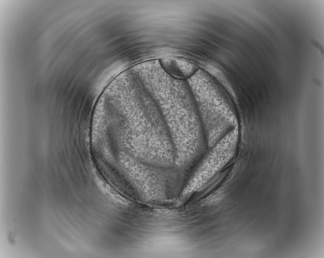 X0000101170954200807251130
