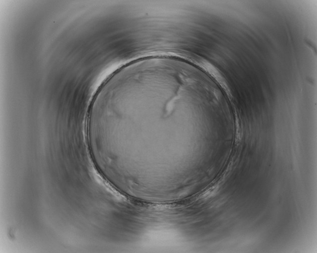 X0000101170958200807251130