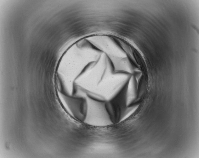 X0000101170959200807251130