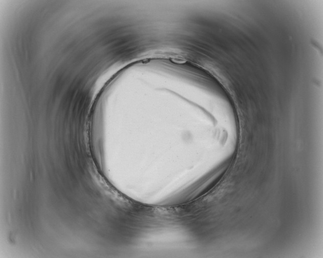 X0000101170960200807251130
