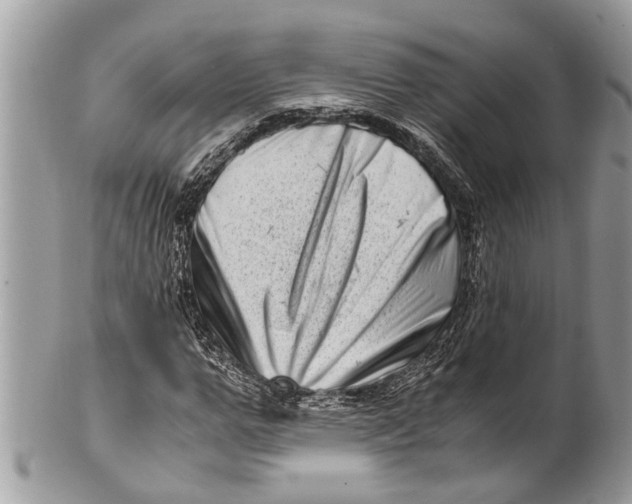 X0000101170967200807251129